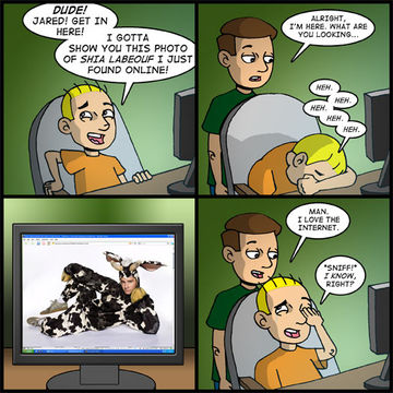 IT MAKES LAUGHING AT CELEBRITIES EASIER